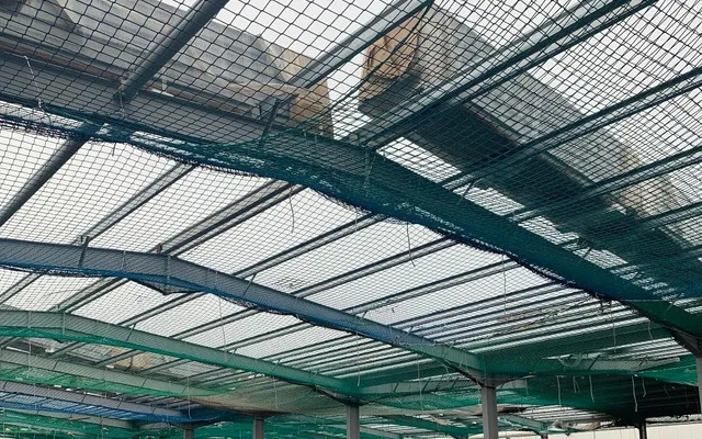 Green FASET safety netting spanning a steel-frame warehouse under construction